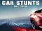 Gra Car Stunts Sky Tour w Internecie