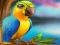 Gra Little Parrot Escape w Internecie