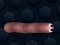 Gra Math Slither w Internecie