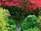 Gra Maple Leaf Garden Escape w Internecie