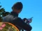 Gra Shadow Hunter w Internecie