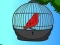 Gra Red Bird Rescue w Internecie