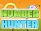 Gra Number Hunter w Internecie
