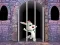 Gra Victory Rabbit Escape w Internecie