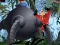 Gra The Incredibles - Save the Day w Internecie