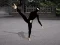 Gra Ninja Academy w Internecie