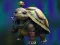 Gra Isolated Turtle Escape w Internecie