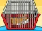 Gra Rescue The Hamster From Cage w Internecie