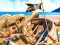 Gra Pirate Mysteries w Internecie