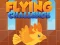 Gra Flying Challenge w Internecie