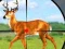 Gra Wild Hunt Hunting Games 3D w Internecie