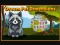 Gra Dream Pet Dimensions w Internecie