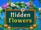 Gra Hidden Flowers w Internecie