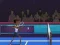 Gra Badminton Brawl w Internecie