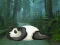 Gra Wakeup The Sleeping Panda w Internecie
