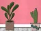 Gra Find Houseplant w Internecie