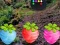 Gra Escape From Fascinated Jungle w Internecie