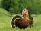 Gra Ready To The Thanksgiving Party w Internecie