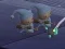 Gra Sleeping Babies w Internecie