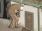 Gra Tree Need Water w Internecie