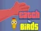 Gra Catch the Birds w Internecie