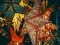 Gra Christmas Stars Jigsaw w Internecie