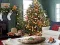 Gra Gingerbread Gala Hunt for 100 Sweet Delights w Internecie