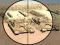 Gra Camo Sniper w Internecie