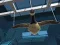 Gra Goose Museum w Internecie