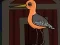 Gra Cute Godwit Escape w Internecie