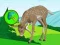 Gra The Deer Meadow Escape w Internecie