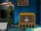 Gra Escape The Greedy Cat From Cage w Internecie