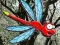 Gra Escape From Dragonfly Forest w Internecie