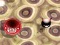 Gra Bouncing Blob w Internecie