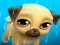 Gra My Virtual Pet Louie the Pug w Internecie