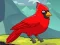 Gra Rescue The Northern Cardinal w Internecie