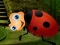 Gra Rescue The Couple Bug w Internecie