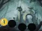 Gra Hungry Devil Forest Escape w Internecie