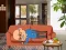 Gra Wakeup The Grandpa w Internecie
