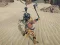 Gra The Scythian Warrior w Internecie