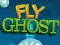 Gra Fly Ghost w Internecie
