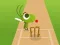 Gra Doodle Cricket w Internecie