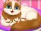 Gra Cute Kitty Pregnant w Internecie