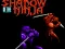 Gra Shadow of the Ninja w Internecie