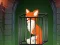 Gra Fox in the Forgotten Ruins w Internecie