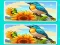 Gra Spot the Difference The Garden w Internecie