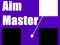 Gra Aim Master w Internecie