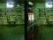 Gra Robot Bar Spot the differences w Internecie