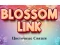Gra Blossom Link w Internecie