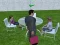 Gra Millionaire Simulator 2024 w Internecie